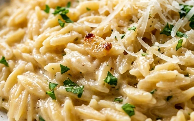 Creamy Garlic Parmesan Orzo